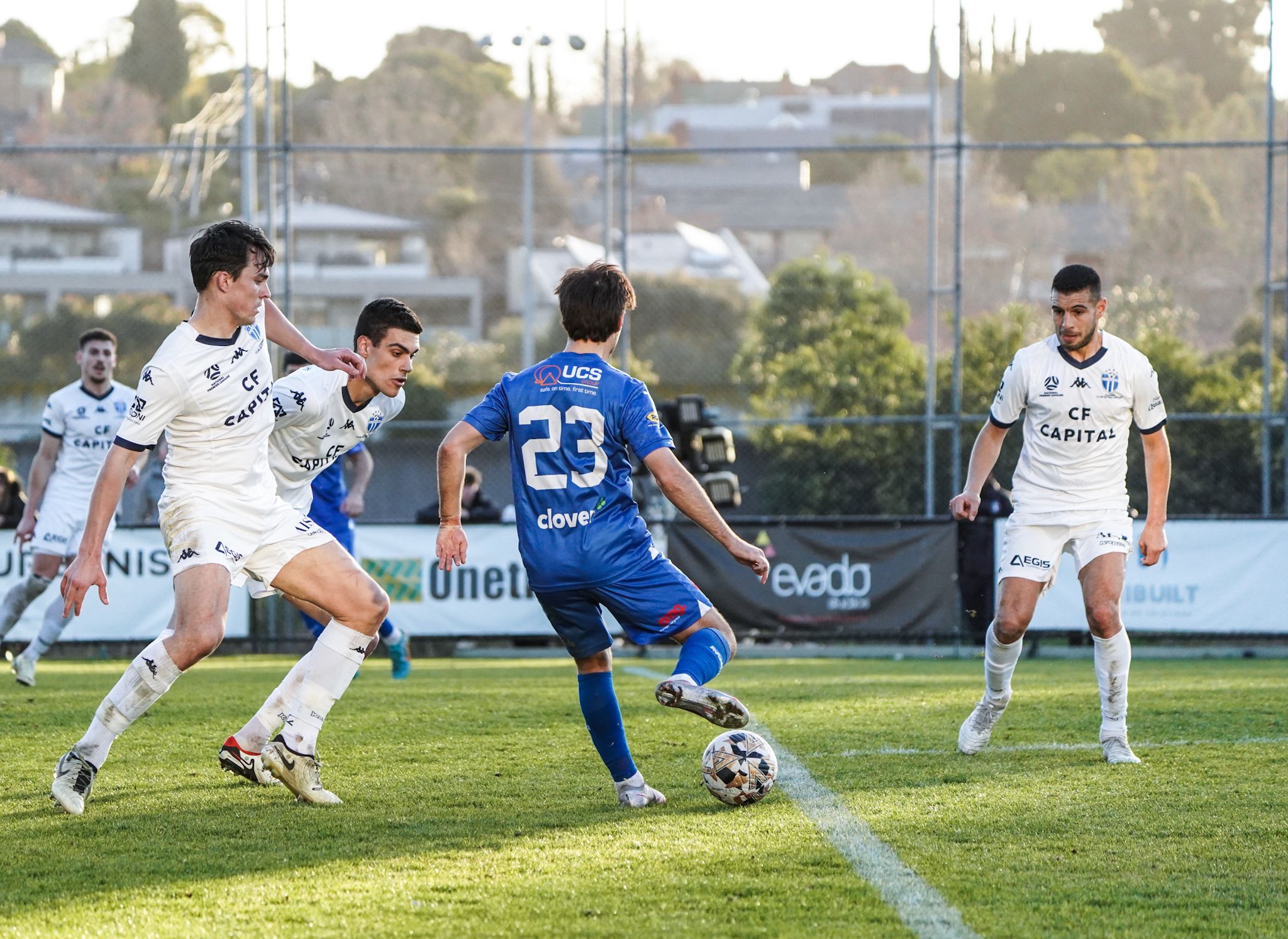 OK9: Nhận định South Melbourne vs Avondale FC – Đại chiến đỉnh NPL Victoria